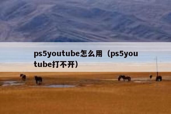 ps5youtube怎么用（ps5youtube打不开） 第1张