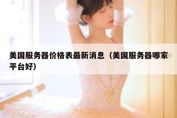 美国服务器价格表最新消息（美国服务器哪家平台好） 第1张