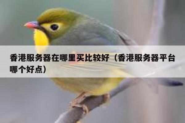 香港服务器在哪里买比较好（香港服务器平台哪个好点） 第1张