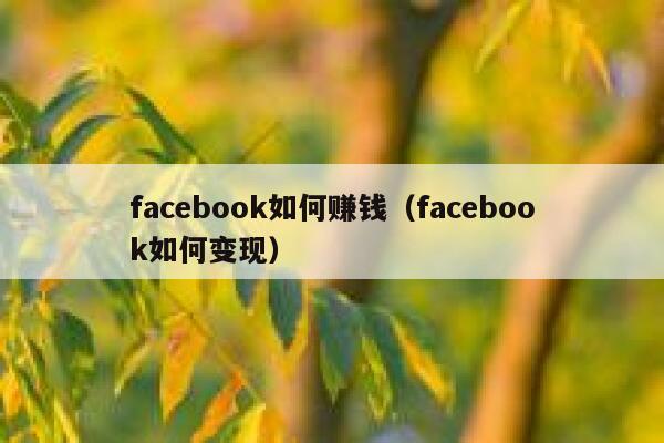 facebook如何赚钱（facebook如何变现） 第1张