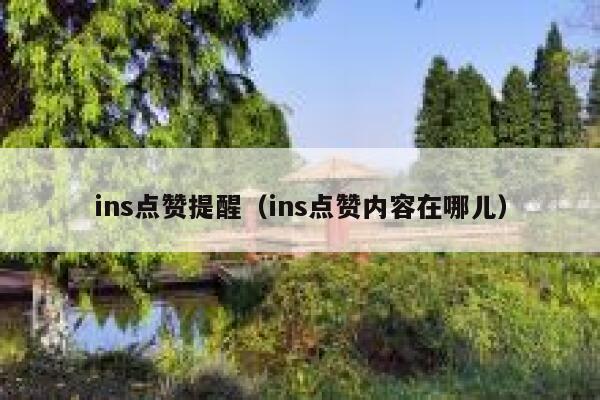 ins点赞提醒（ins点赞内容在哪儿） 第1张