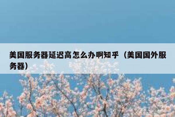 美国服务器延迟高怎么办啊知乎（美国国外服务器） 第1张