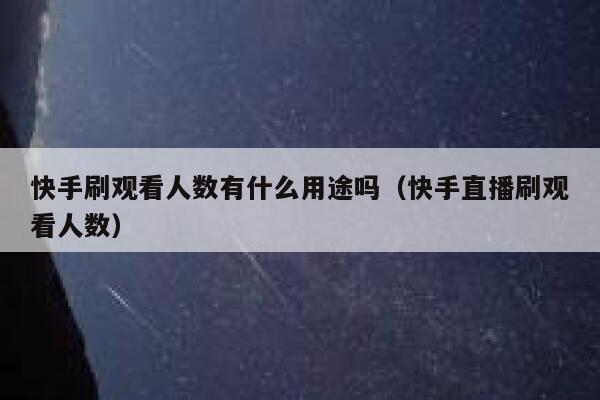 快手刷观看人数有什么用途吗（快手直播刷观看人数） 第1张
