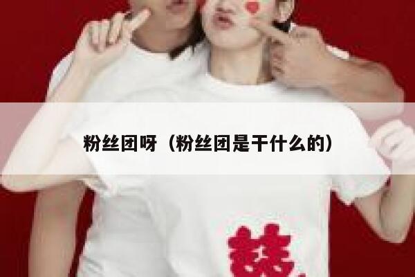 粉丝团呀（粉丝团是干什么的） 第1张