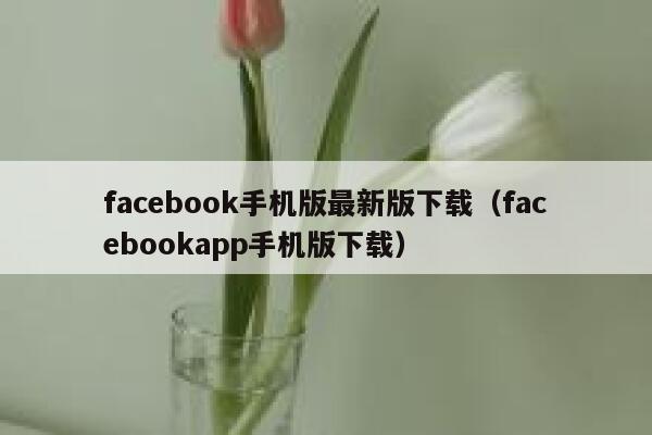 facebook手机版最新版下载（facebookapp手机版下载） 第1张