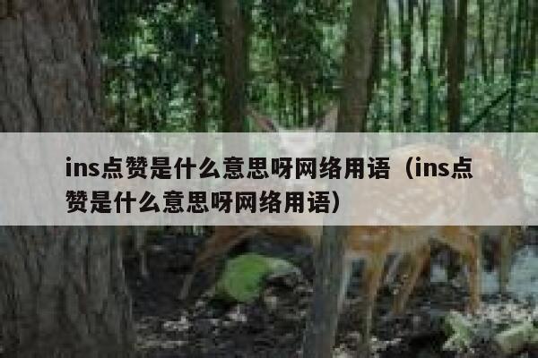 ins点赞是什么意思呀网络用语（ins点赞是什么意思呀网络用语） 第1张