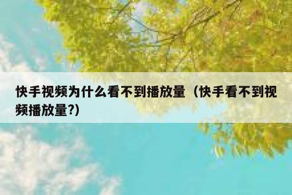 快手视频为什么看不到播放量（快手看不到视频播放量?） 第1张