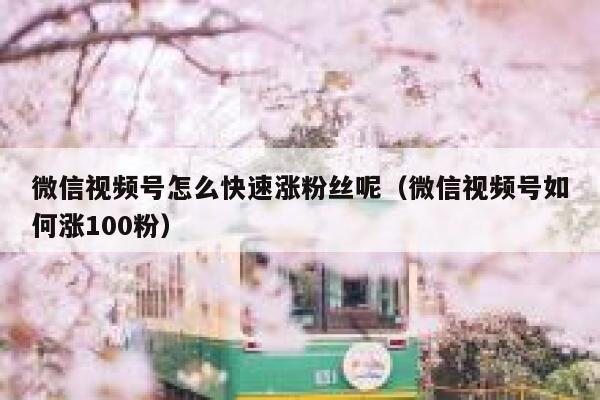 微信视频号怎么快速涨粉丝呢（微信视频号如何涨100粉） 第1张