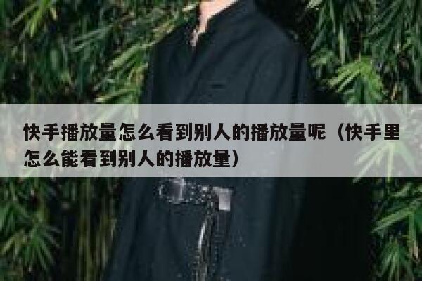 快手播放量怎么看到别人的播放量呢（快手里怎么能看到别人的播放量） 第1张