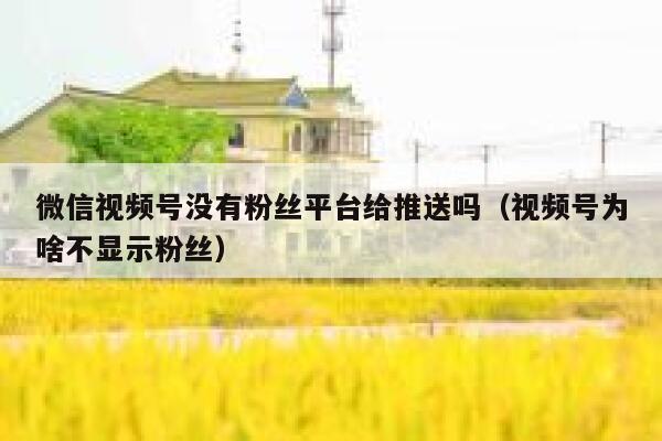 微信视频号没有粉丝平台给推送吗（视频号为啥不显示粉丝） 第1张