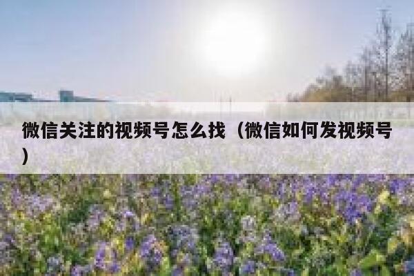 微信关注的视频号怎么找（微信如何发视频号） 第1张