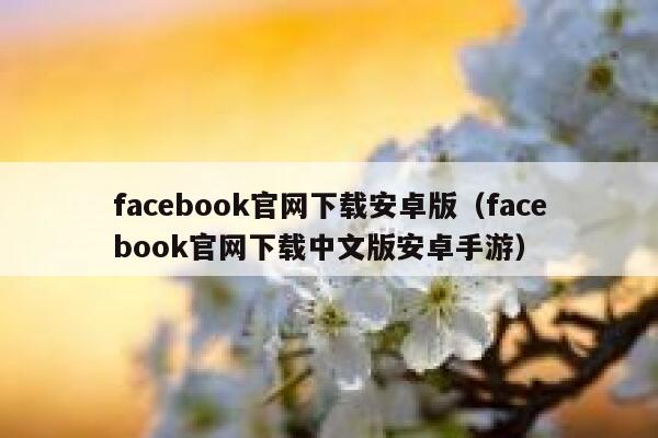 facebook官网下载安卓版（facebook官网下载中文版安卓手游） 第1张