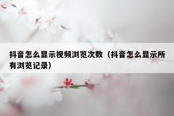 抖音怎么显示视频浏览次数（抖音怎么显示所有浏览记录） 第1张