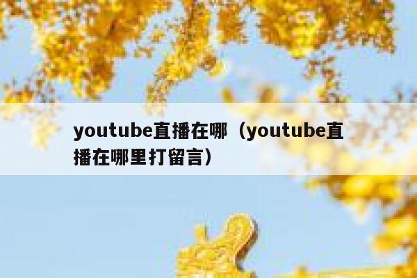 youtube直播在哪（youtube直播在哪里打留言） 第1张