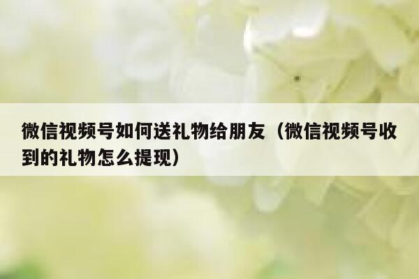 微信视频号如何送礼物给朋友（微信视频号收到的礼物怎么提现） 第1张
