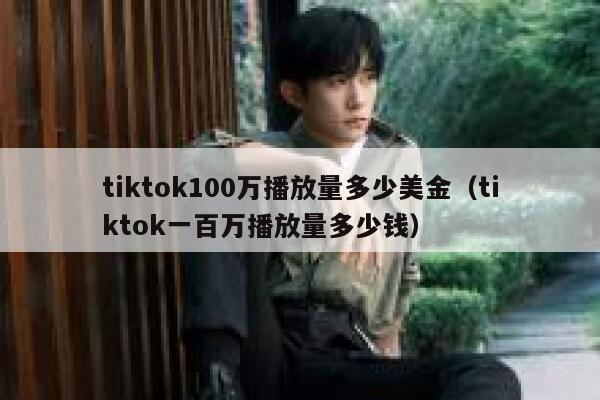 tiktok100万播放量多少美金（tiktok一百万播放量多少钱） 第1张