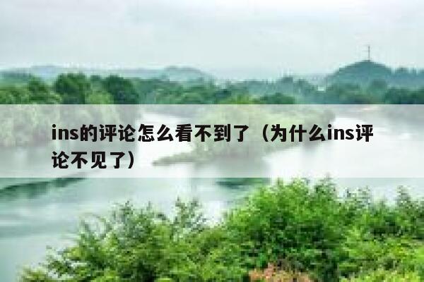 ins的评论怎么看不到了（为什么ins评论不见了） 第1张