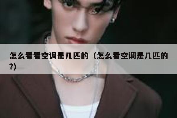 怎么看看空调是几匹的（怎么看空调是几匹的?） 第1张