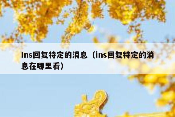Ins回复特定的消息（ins回复特定的消息在哪里看） 第1张
