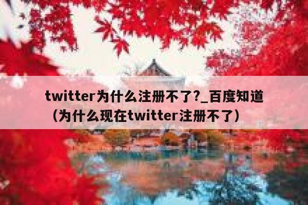 twitter为什么注册不了?_百度知道（为什么现在twitter注册不了） 第1张
