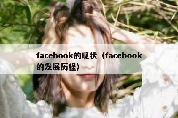 facebook的现状（facebook的发展历程） 第1张