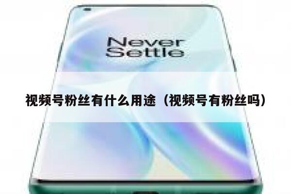 视频号粉丝有什么用途（视频号有粉丝吗） 第1张