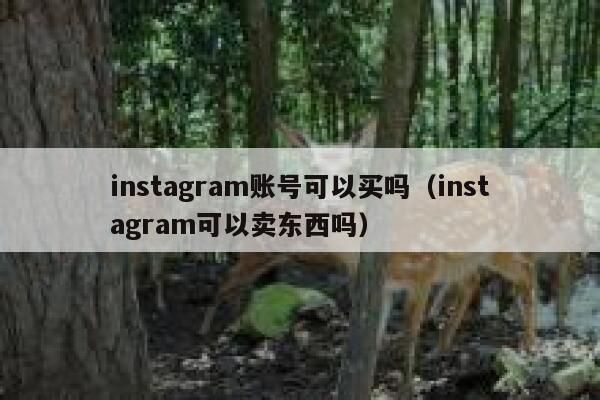instagram账号可以买吗（instagram可以卖东西吗） 第1张