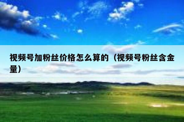 视频号加粉丝价格怎么算的（视频号粉丝含金量） 第1张