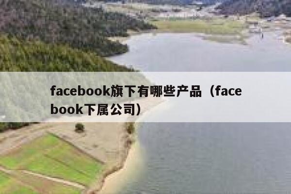 facebook旗下有哪些产品（facebook下属公司） 第1张