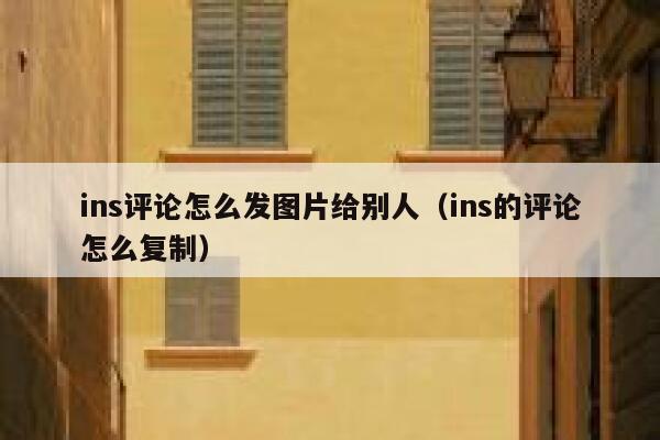 ins评论怎么发图片给别人（ins的评论怎么复制） 第1张