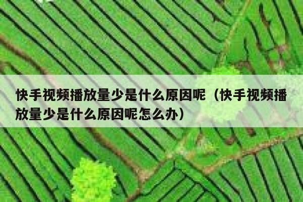 快手视频播放量少是什么原因呢（快手视频播放量少是什么原因呢怎么办） 第1张
