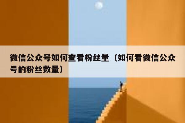 微信公众号如何查看粉丝量（如何看微信公众号的粉丝数量） 第1张