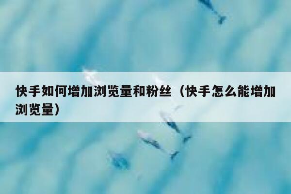 快手如何增加浏览量和粉丝（快手怎么能增加浏览量） 第1张