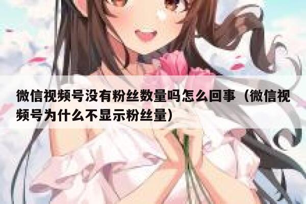 微信视频号没有粉丝数量吗怎么回事（微信视频号为什么不显示粉丝量） 第1张