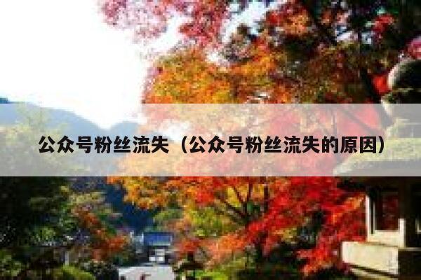 公众号粉丝流失（公众号粉丝流失的原因） 第1张