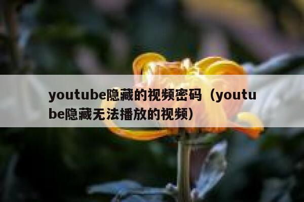 youtube隐藏的视频密码（youtube隐藏无法播放的视频） 第1张
