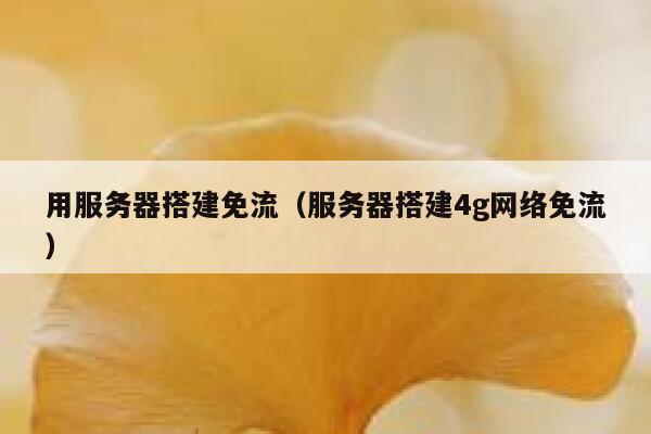 用服务器搭建免流（服务器搭建4g网络免流） 第1张