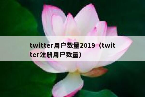 twitter用户数量2019（twitter注册用户数量） 第1张
