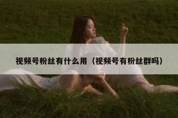 视频号粉丝有什么用（视频号有粉丝群吗） 第1张