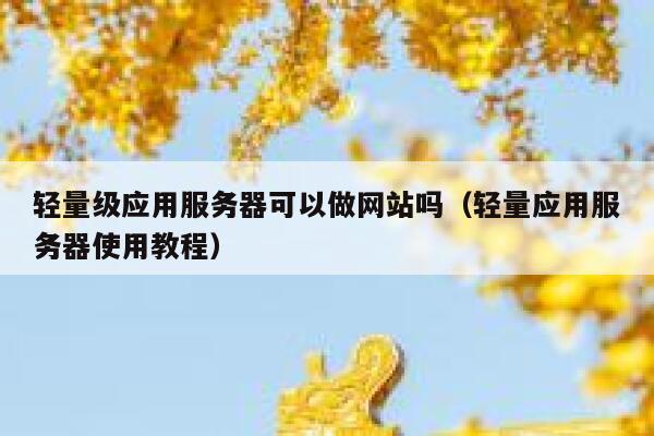 轻量级应用服务器可以做网站吗（轻量应用服务器使用教程） 第1张