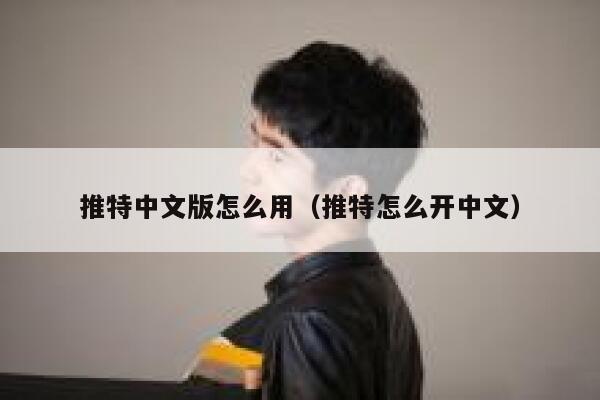 推特中文版怎么用（推特怎么开中文） 第1张