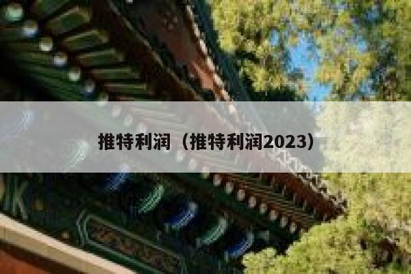 推特利润（推特利润2023） 第1张