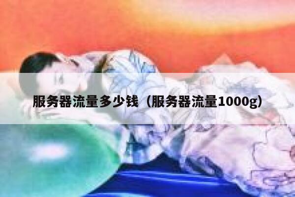 服务器流量多少钱（服务器流量1000g） 第1张
