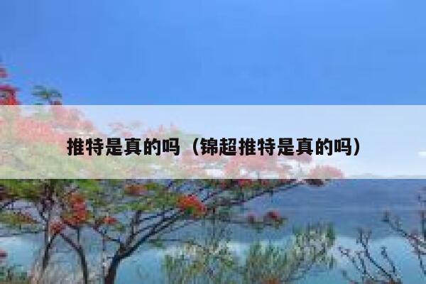 推特是真的吗（锦超推特是真的吗） 第1张