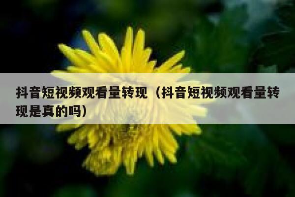抖音短视频观看量转现（抖音短视频观看量转现是真的吗） 第1张