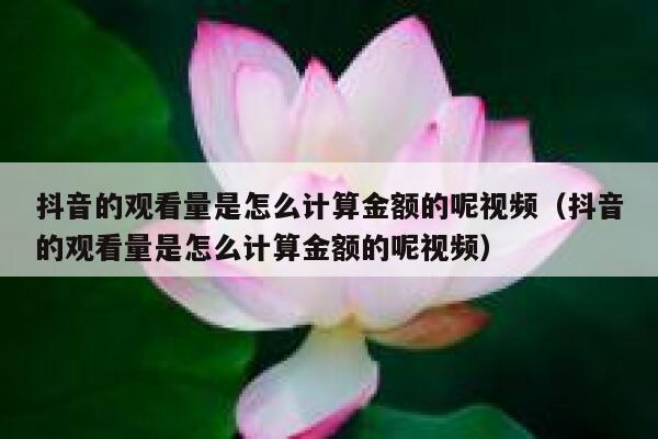 抖音的观看量是怎么计算金额的呢视频（抖音的观看量是怎么计算金额的呢视频） 第1张