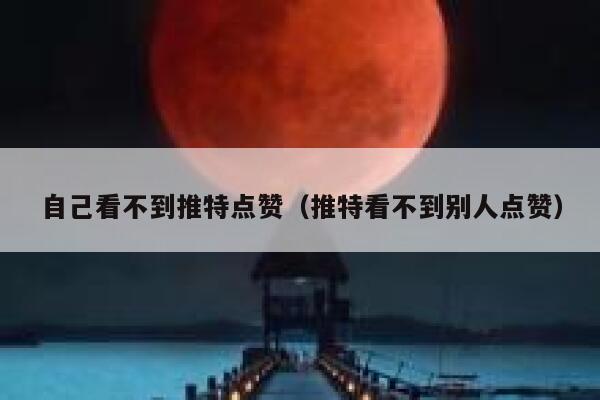 自己看不到推特点赞（推特看不到别人点赞） 第1张