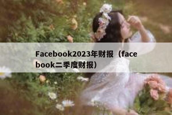 Facebook2023年财报（facebook二季度财报） 第1张