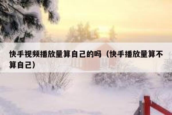 快手视频播放量算自己的吗（快手播放量算不算自己） 第1张