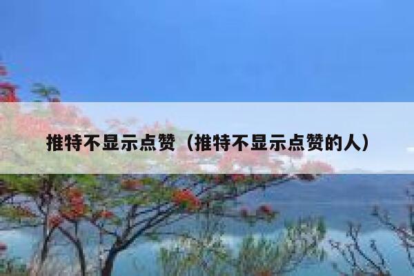 推特不显示点赞（推特不显示点赞的人） 第1张